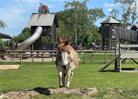 odds farm|Odds Farm Park (High Wycombe) .